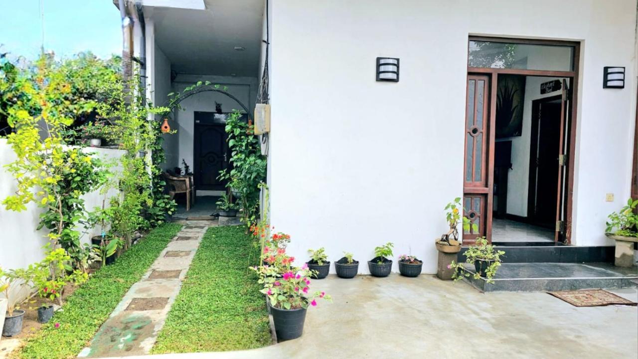 Aloe Vera Villa Негомбо Екстер'єр фото